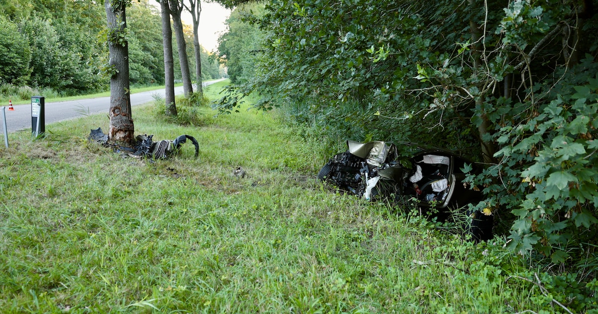 Auto botst tegen boom op kruising in Bant