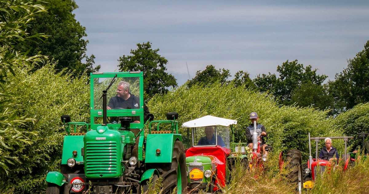 Dit stuurden jullie in: Trekkers trekken veel bekijks in Doornspijk • Van droom naar uitverkochte ei