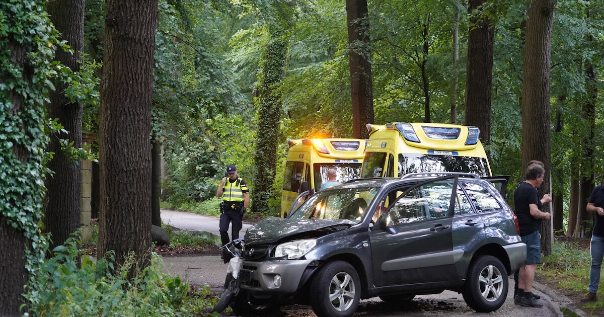Moeder en twee kinderen naar ziekenhuis na botsing tegen boom in Laag Zuthem