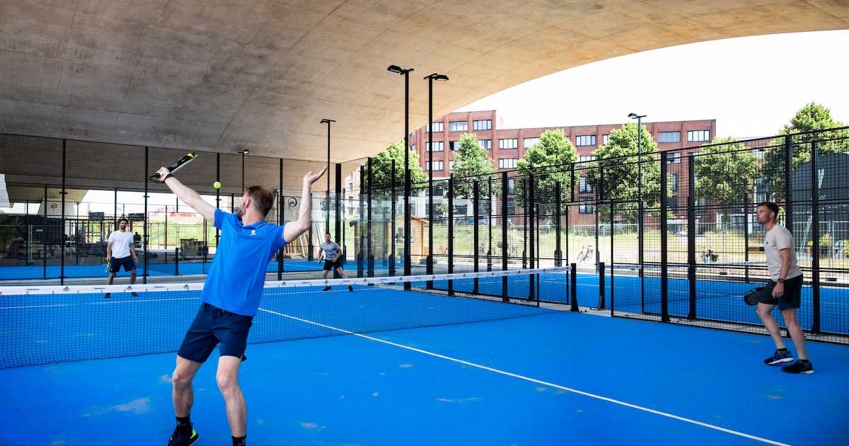 Populaire padelbanen onder De Oversteek moeten weg, club is hard op zoek naar nieuwe locatie