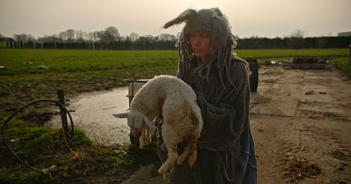 Bij deze expo in Zutphen loop je als een schaap tussen hekwerk: ‘Je voelt dat de wolf kan komen’