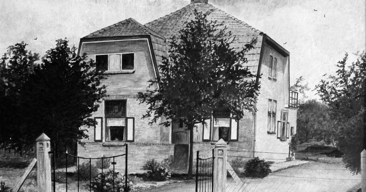 Het verhaal van fruitteler Knorth uit Bemmel: tot diep in de nacht tomaten inpakken voor de veiling