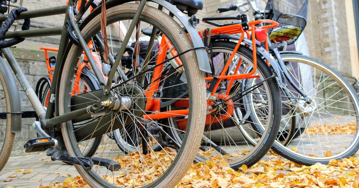 Fietsie foetsie! Zoveel fietsen werden vorig jaar gejat in Apeldoorn