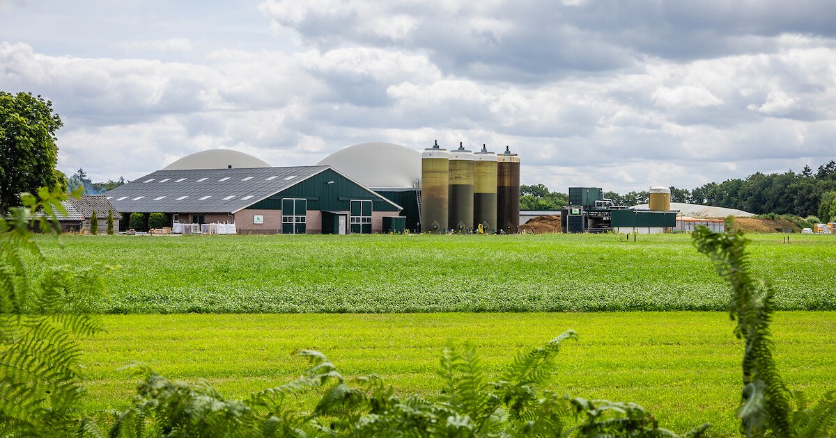 Hoofdpijn van de stank: mestbedrijf in Woudenberg wil uitbreiden, maar buren zijn bezorgd over gezon