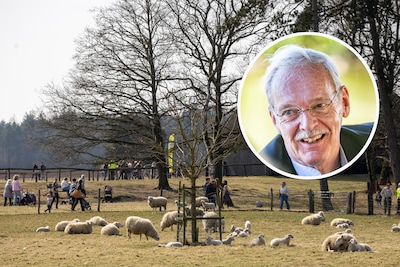 Staatsse­cre­ta­ris bezoekt getroffen schaaps­kooi E­pe-Heer­de: ‘Beperkt ruimte voor de wolf’