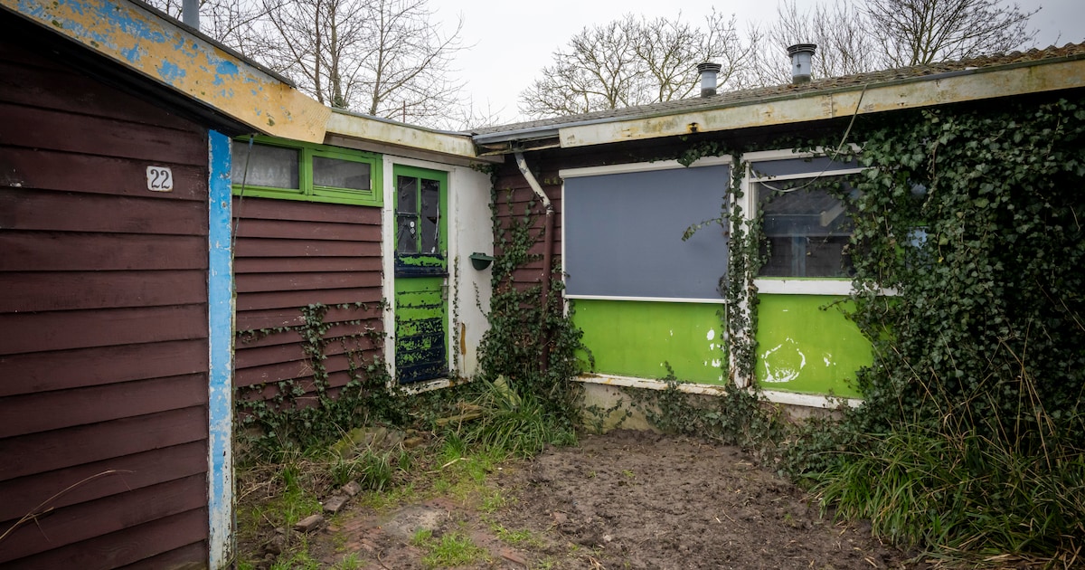 LTO: Flevolandse boeren hebben te weinig huisvesting arbeidsmigranten