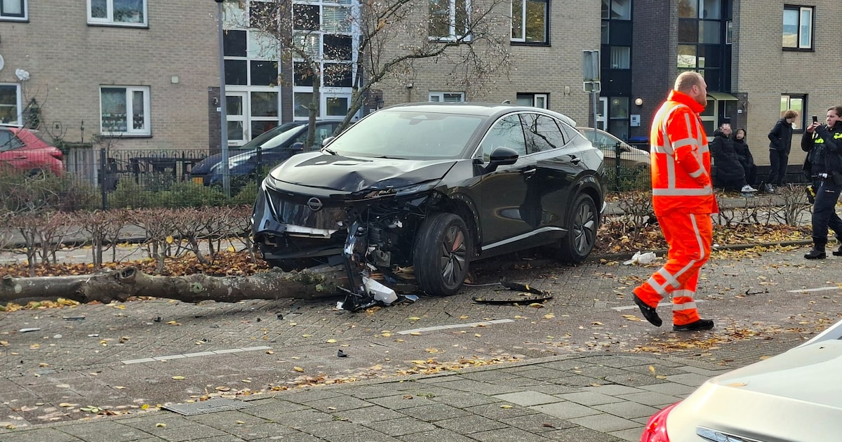 Botsing veroorzaakt flinke schade in woonwijk in Lelystad: auto crasht tegen boom