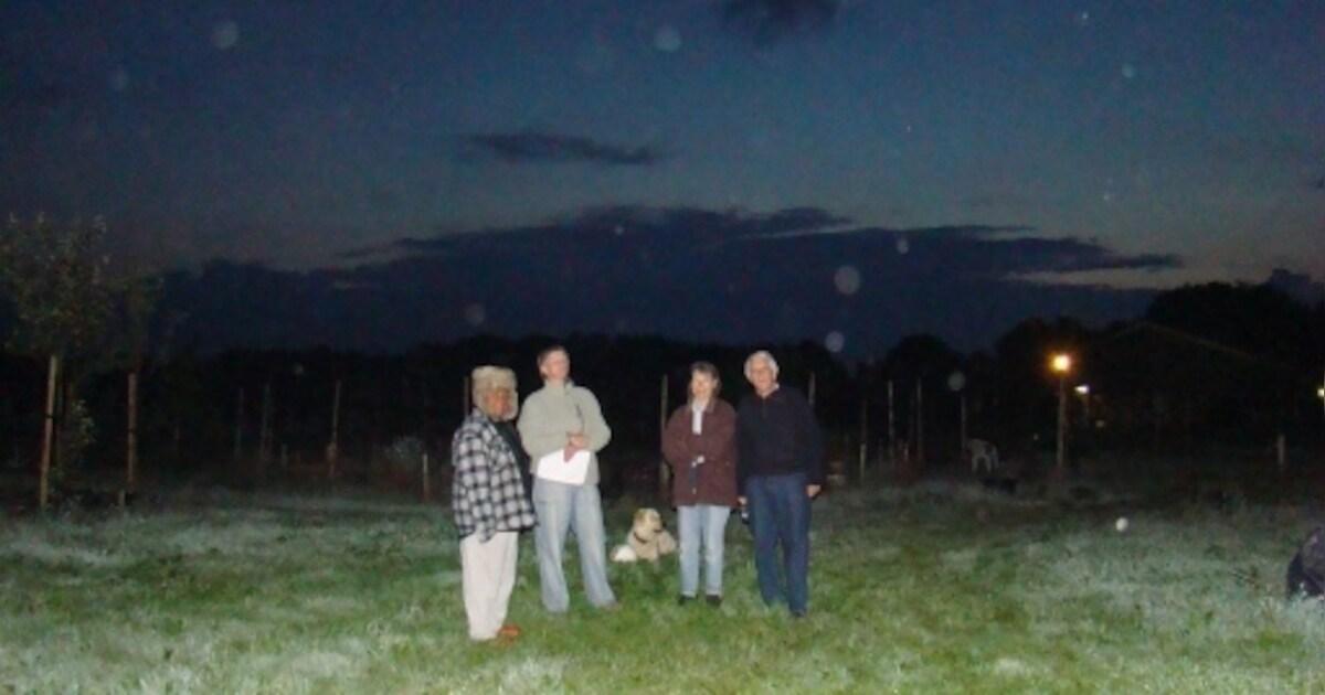 Buitenaardse wezens of stofdeeltjes?