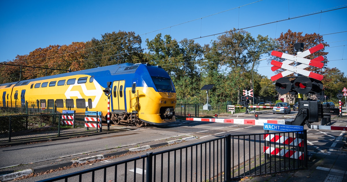 Politie machteloos tegen drugsdealers in Wolfheze: burgemeester vraagt om nieuwe regel