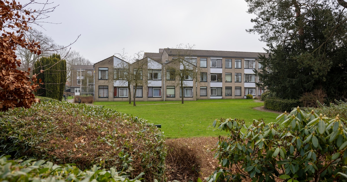 Bouw De Bongerd kan zonder natuurschade, zegt Hattem na uitgevoerd stikstofonderzoek