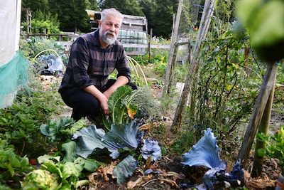 Groente en fruit gestolen, spullen vernield: in de tuin van Marco en zijn vader (89) zijn de gevolge