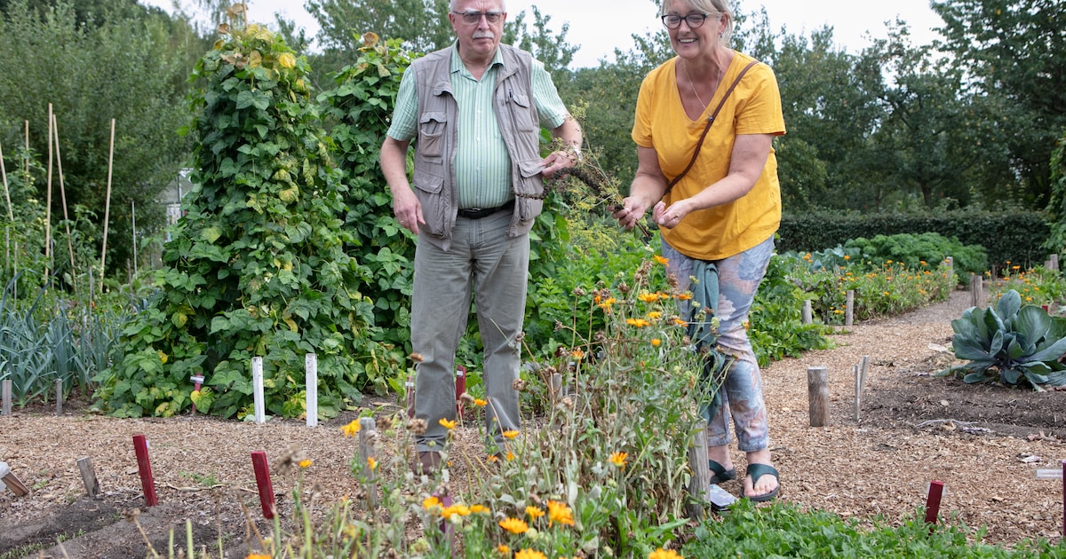 Natuurboerderij Lindehoeve vernieuwt moestuinproject in Dalfsen
