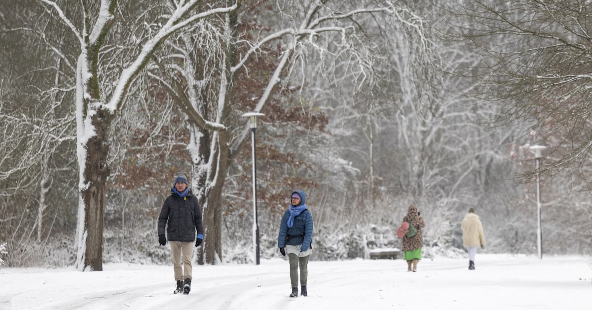 Het wordt heel erg koud, maar hoe koud? ‘Een half uurtje min 15, dat kan’