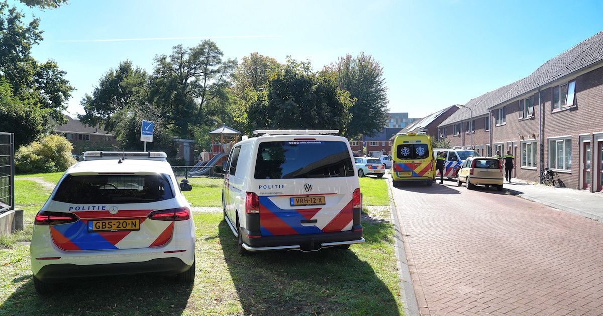 Gewonde bij vechtpartij in woning in Meppel