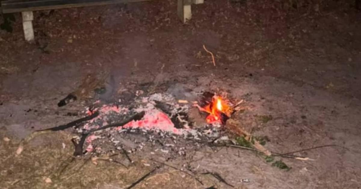 Jongeren stichten kleine brand in klimbos bij Paasloo: ‘Kropen door het oog van de naald’