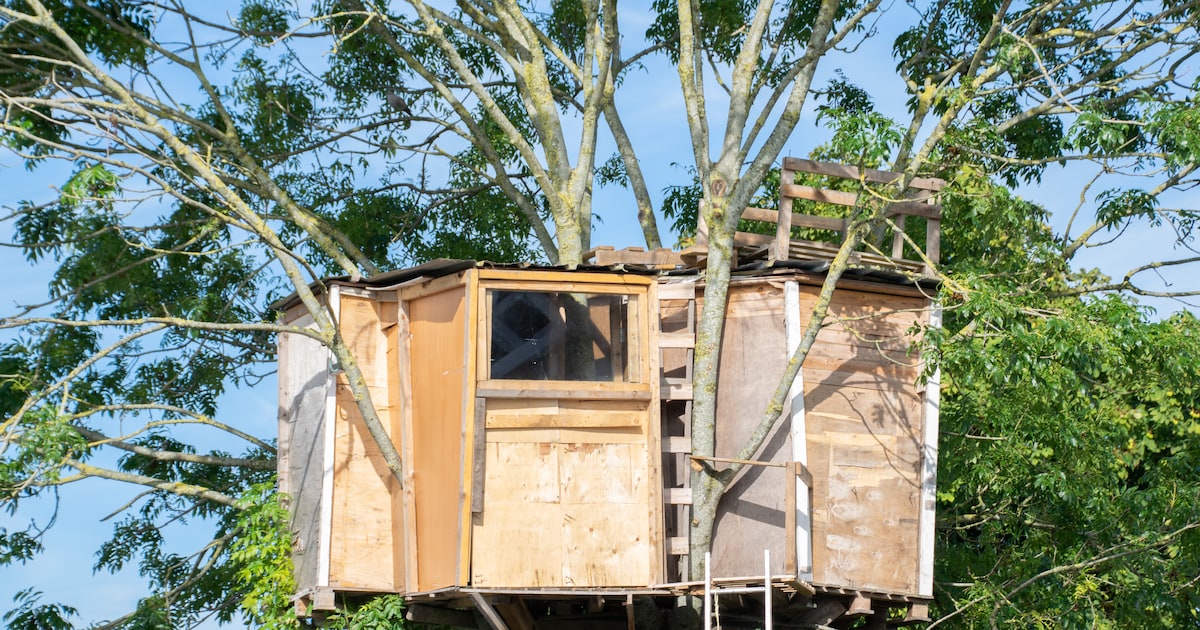Alleen de bekleding van de zitplaatsen… die konden wij eerst niet thuisbrengen