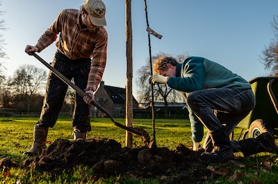 Puttenaren gaan in februari streekeigen bomen en struiken planten