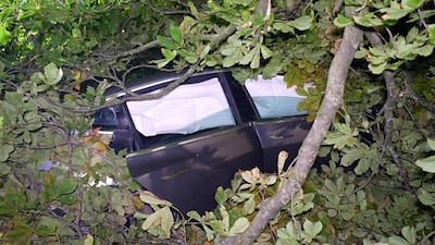 Zwaardere straf voor ‘coole’ Achterhoeker die met 190 in Tesla tegen boom knalde