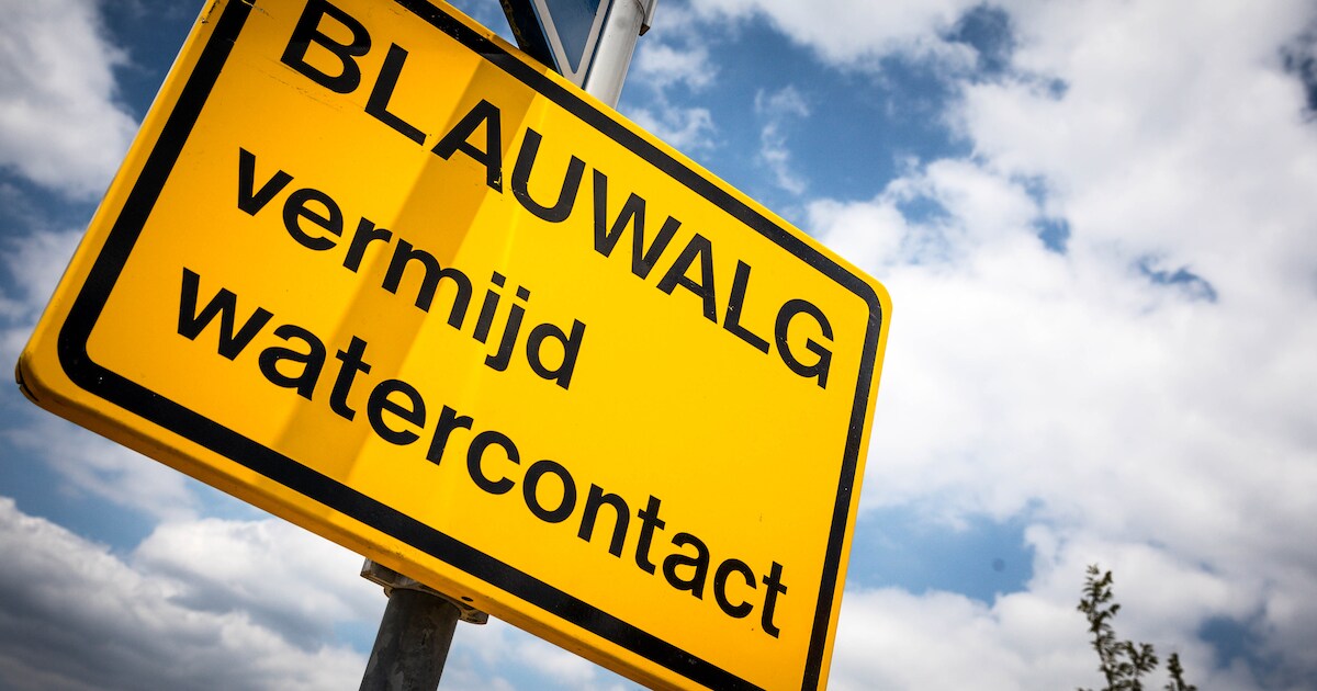Negatief zwemadvies voor Lumierestrand in Almere opgeheven | Regio | De ...