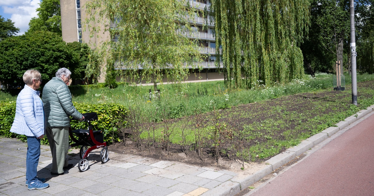 Buurt verbaasd over verdwenen voetpad. ‘Moet nu vijf keer oversteken’