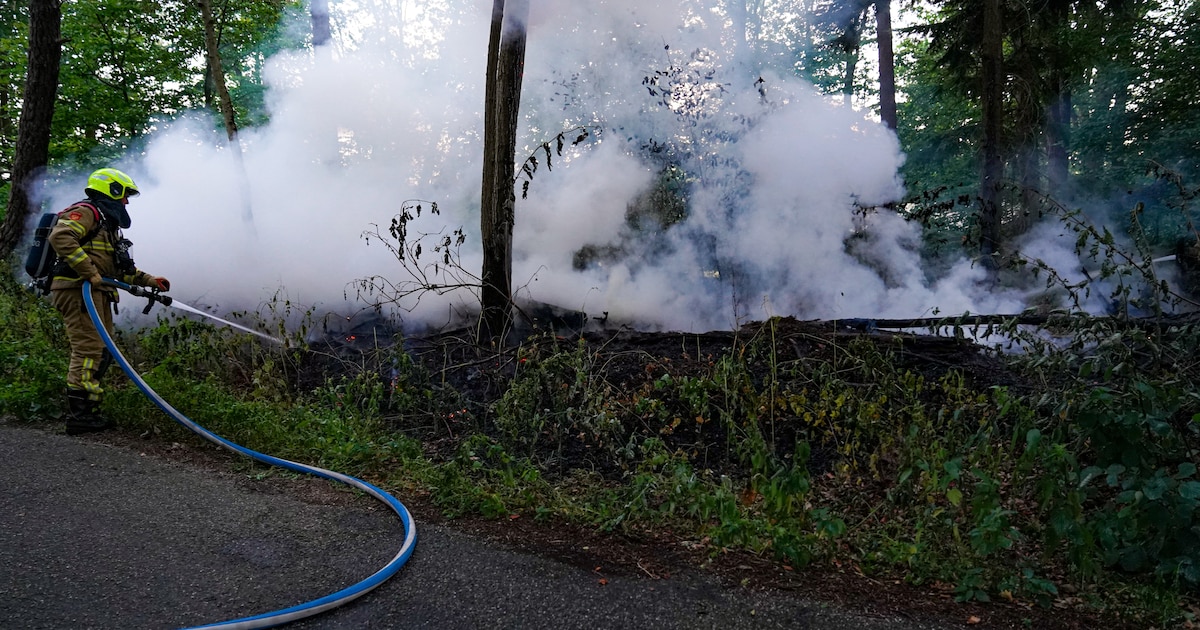 Flinke rookontwikkeling bij brand in bos bij Eefde, vuur snel onder controle