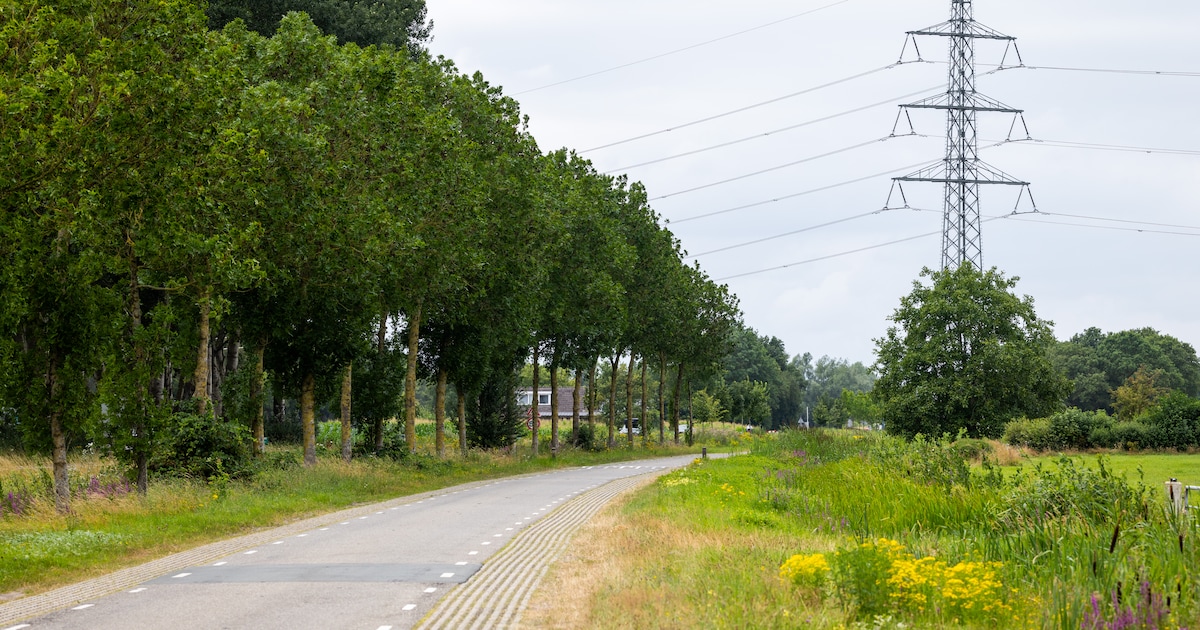Fietser zwaargewond bij botsing tegen stilstaande vrachtwagen bij Nieuwleusen