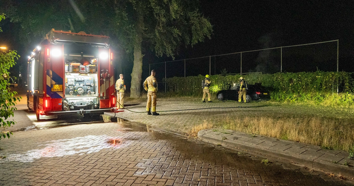 Auto brandt uit op Nico Bolkesteinlaan in Deventer