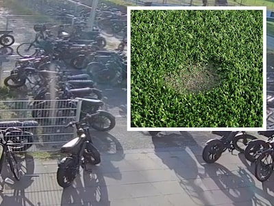 Groep van honderd jongeren teistert sportparken in Deventer: ‘Ze vlogen uit elkaar toen de politie k