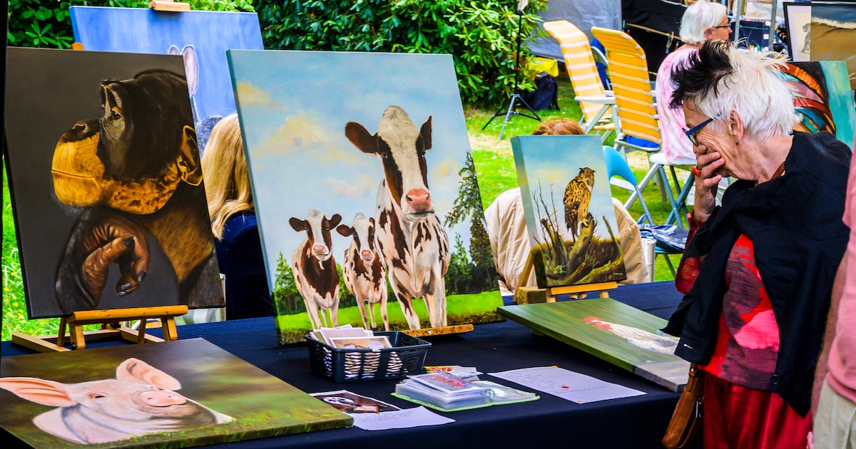 Kunstenaars presenteren hun werk op kunstmarkt in Elburg