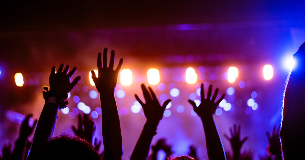 Speurtocht, rondleiding en muziek tijdens gratis festival bij houtbedrijf in Dalfsen
