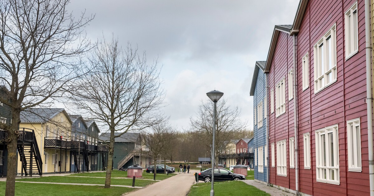 Asielzoekers kunnen nog niet terecht in Zeewolde: ‘Later dan in eerste ...