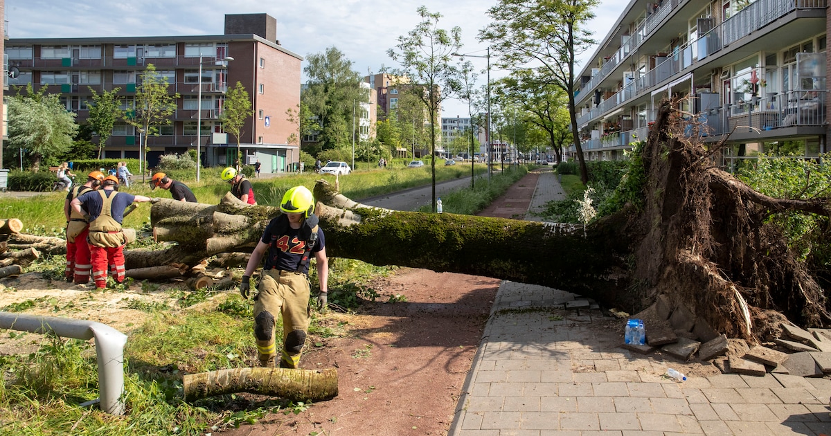 Fors minder schade in Lochem door noodweer vorig jaar