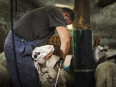 Coen uit Dalfsen is een van de vele 'kleine kwekers' en wil mensen iets  vertellen over hun planten | Regio | De Stentor.nl