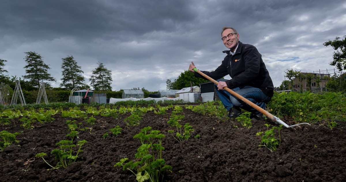Arie (67) legt moestuin aan voor de voedselbank