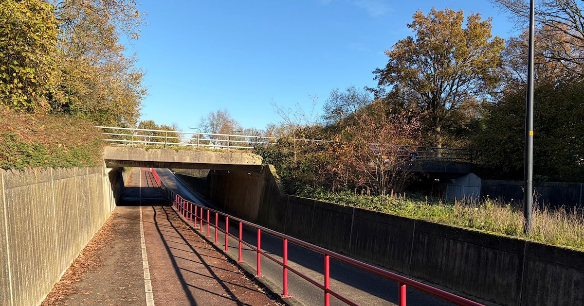 Wijkvereniging Stroom Esch opent meldpunt voor onveilige plekken