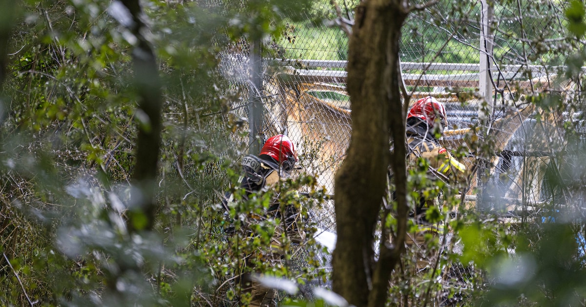 Bosbrand bij Beginweg in Lelystad snel onder controle na opschaling brandweer
