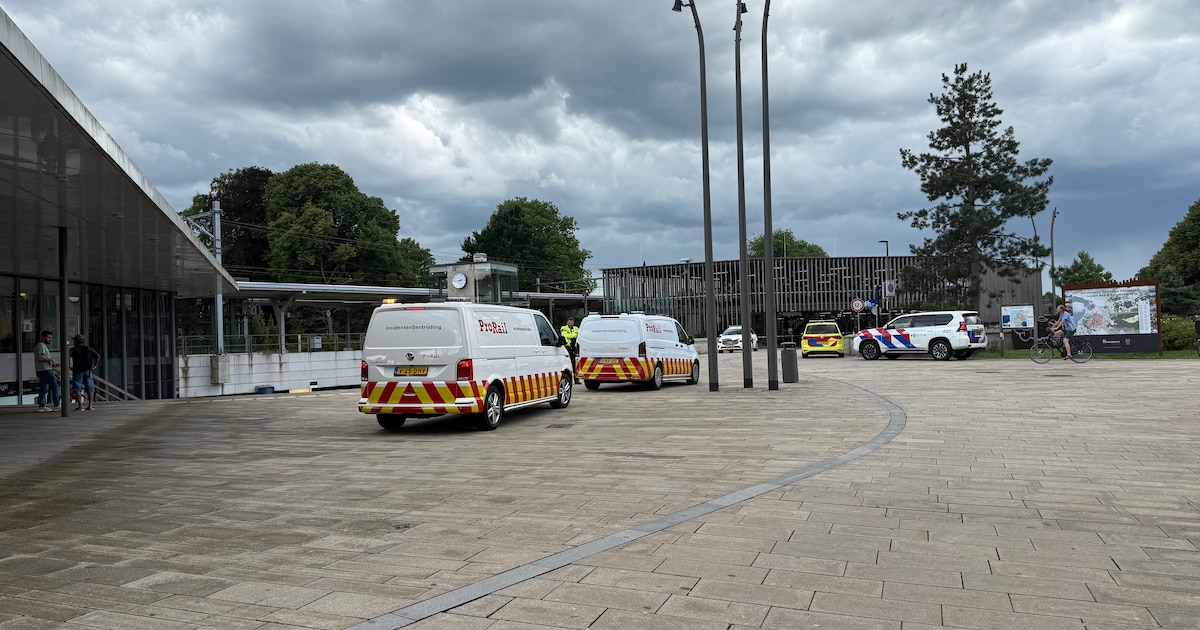 Aanrijding op het spoor: geen treinen op deel van de Veluwe.