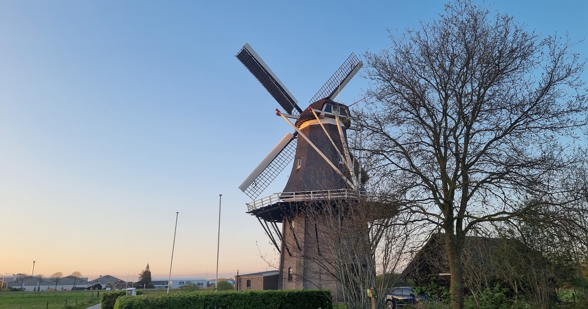 De Star in Balkbrug doet mee aan de Overijsselse Molendag