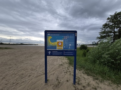 Hond gestorven en twee honden onwel na zwempartij op Almeerderstrand: zwemverbod op deel strand