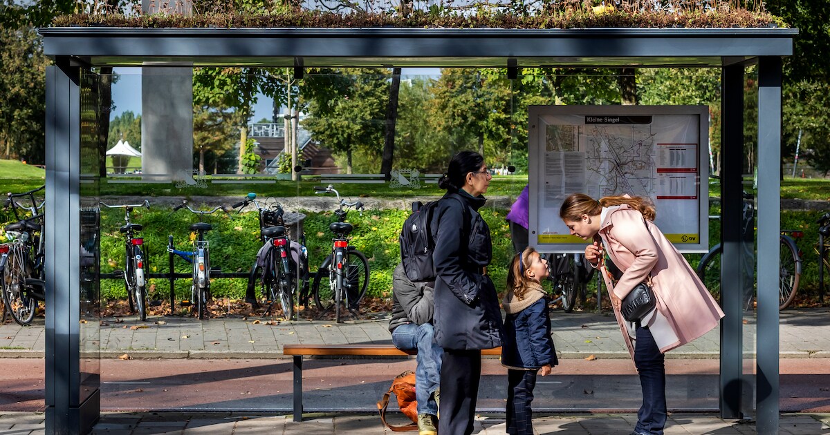 Groene bushokjes welkom in Deventer | Deventer | De Stentor.nl