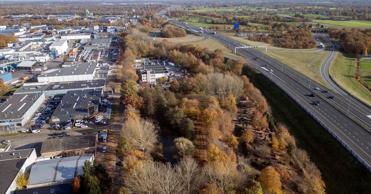 Dit bedrijventerrein in Apeldoorn wil verduurzamen, maar dat is geen kwestie van even een paar plant