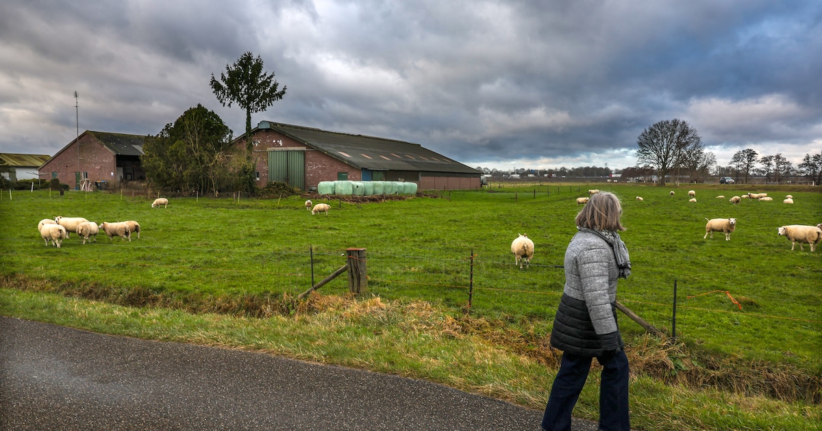 Apeldoorn legt 21 miljoen klaar om grond op te kopen op deze plek (met een pijnlijke herinnering)