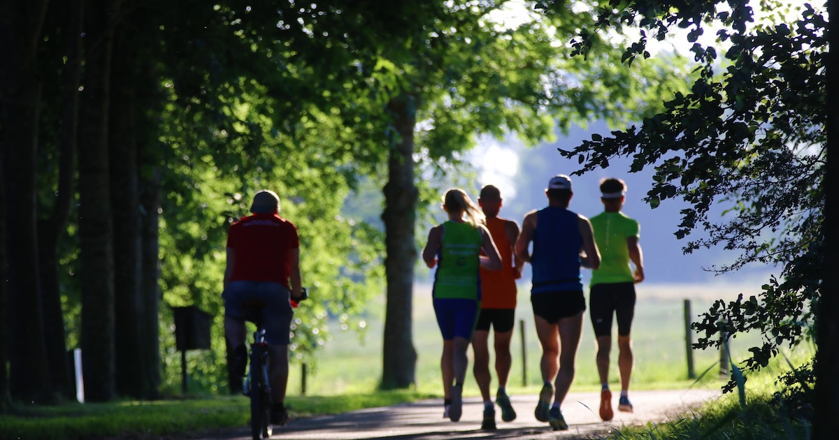 Voorinschrijvingen Zwartewaterlandloop lopen storm