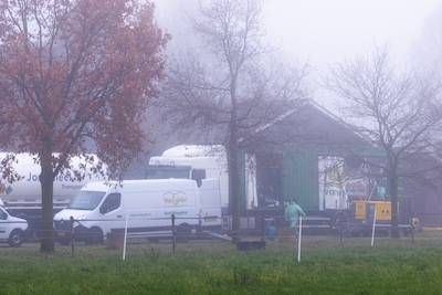 Vogelgriep valt Bornerbroekse pluimveehouder rauw op het dak: ‘Een strop, maar er zijn ergere dingen