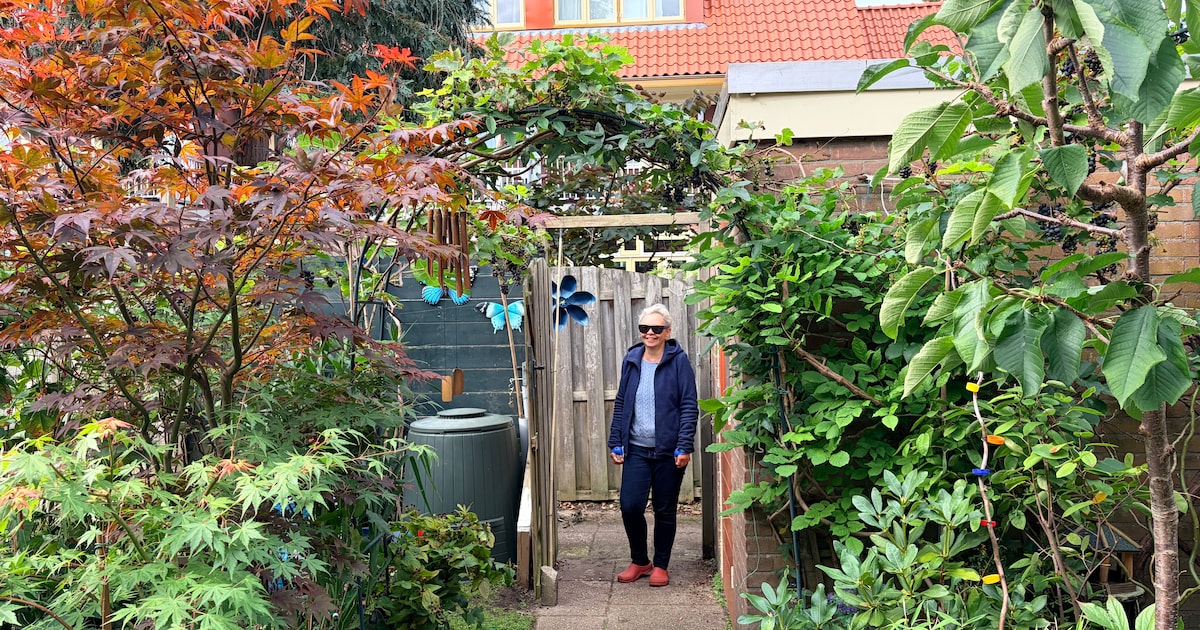 Bij buurvrouw Annemieke is altijd plek voor een praatje: ‘Je zorgt een beetje voor elkaar’