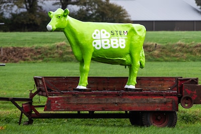 Twee jaar geleden werd in Bathmen massaal op de BBB gestemd, blijft dat zo? ‘BBB levert niks’