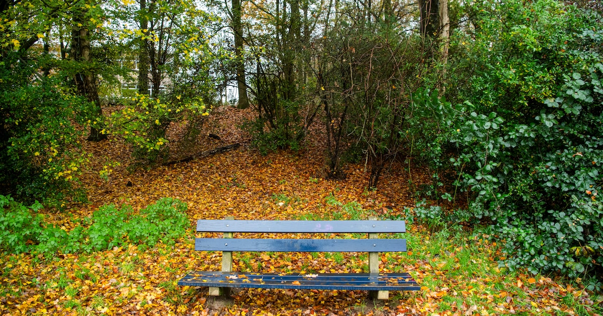 Verderop doemde, bijna verscholen in de mist, een smalle brug op