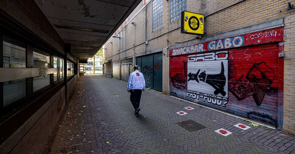 Proef met gratis parkeren in Lelystad stopt: bezoekers bleven maar twee minuten langer