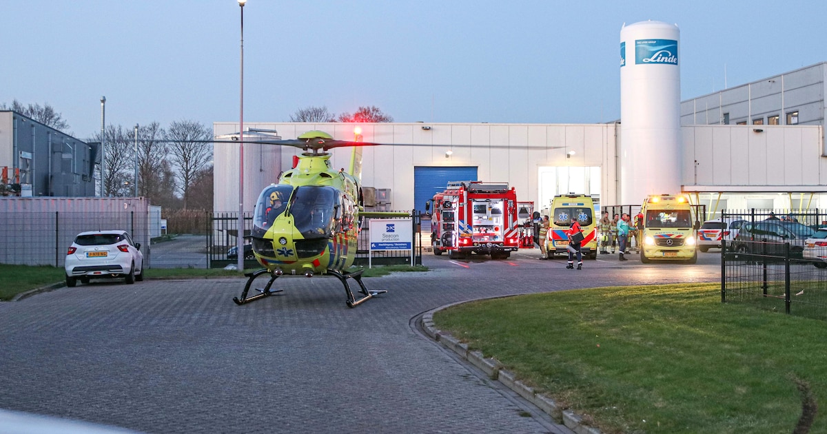 Vrouw (57) raakt bekneld in machine en stikt: bedrijf uit Urk krijgt flinke boete na fataal ongeluk