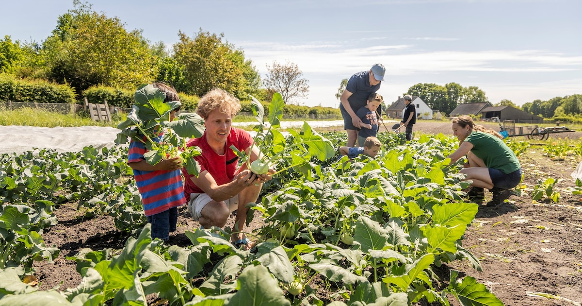 Laatste zomerrondleidingen Herenboerderij De Groote Modderkolk - Oozo.nl